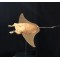 Monta Ray Large